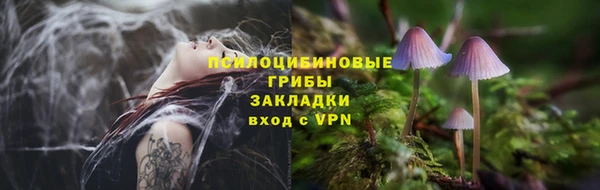 сатива Волосово