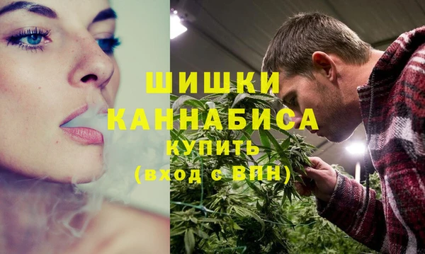 сатива Волосово