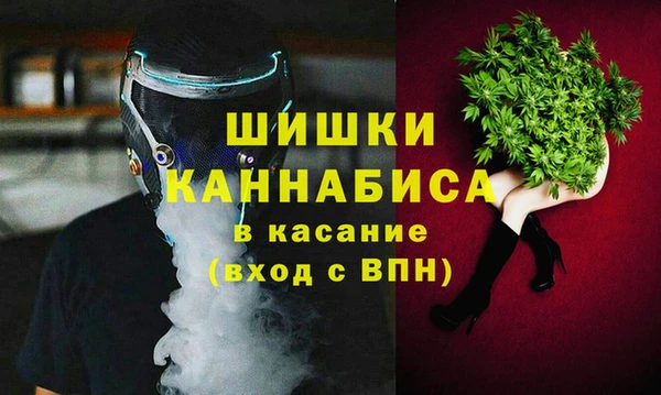 сатива Волосово