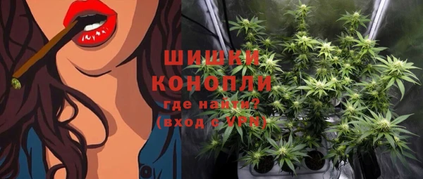 сатива Волосово
