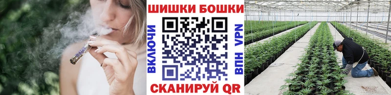Купить где  Сердобск  МАРИХУАНА VHQ 